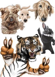 動物たち.jpg